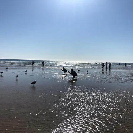 Casa Solace * Almada